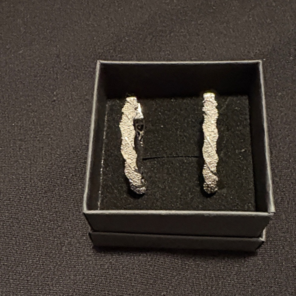 Large  Silver Twist Earrings